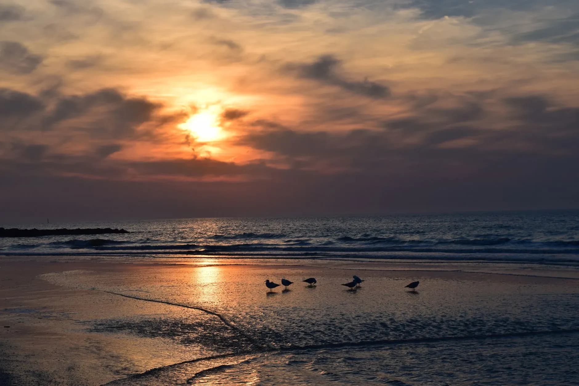 Blankenberge