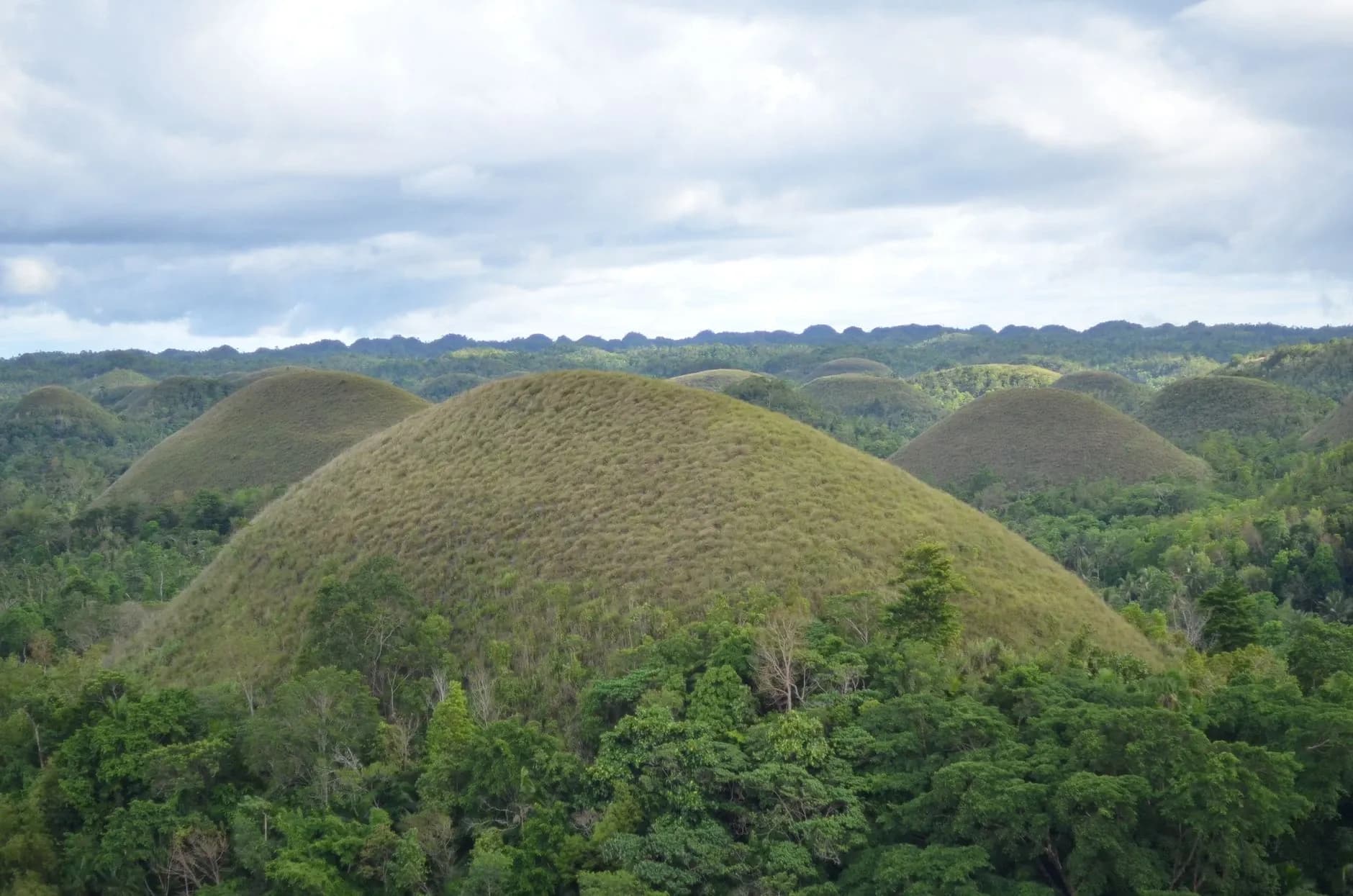 Bohol