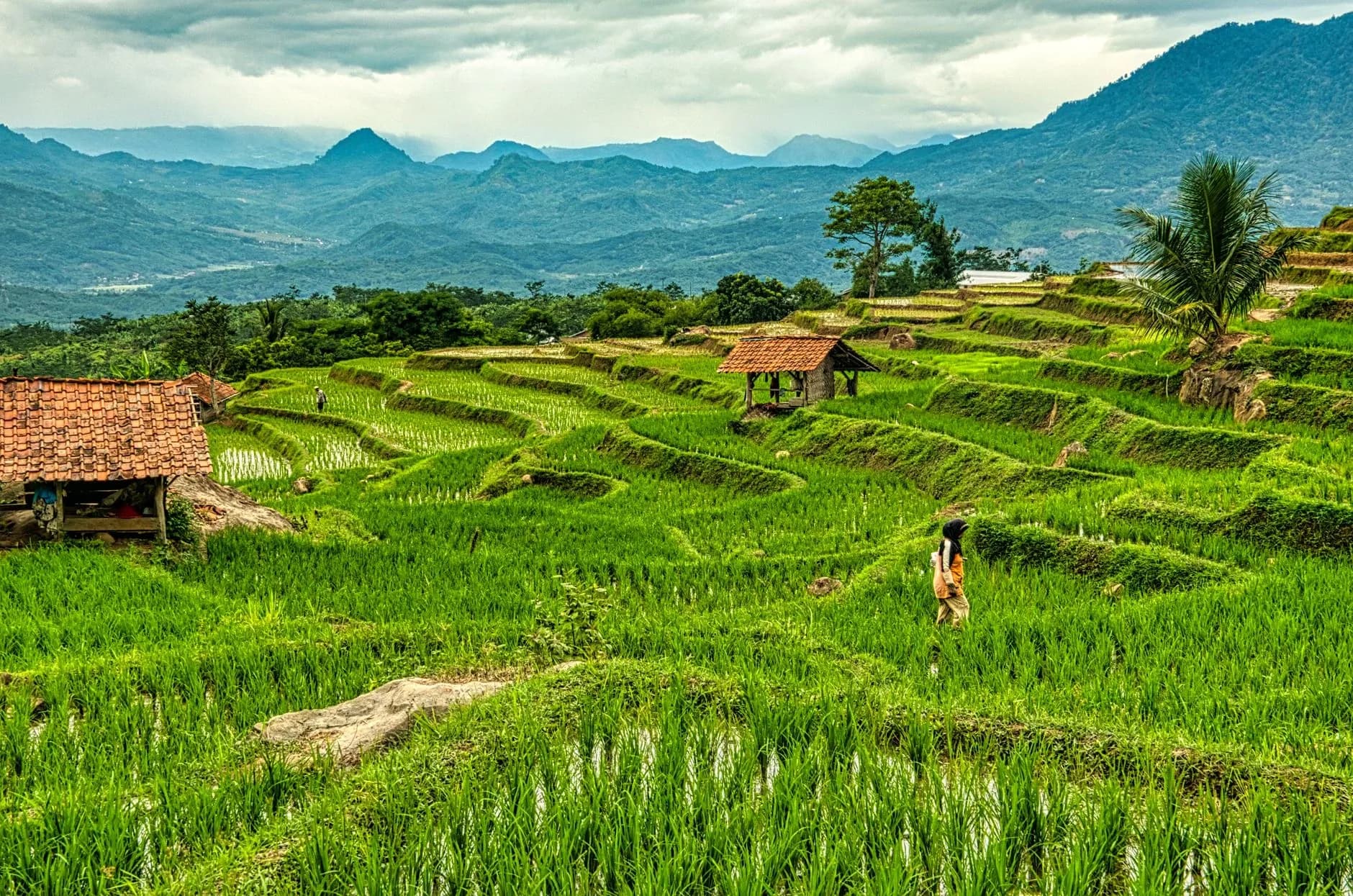 Indonesië