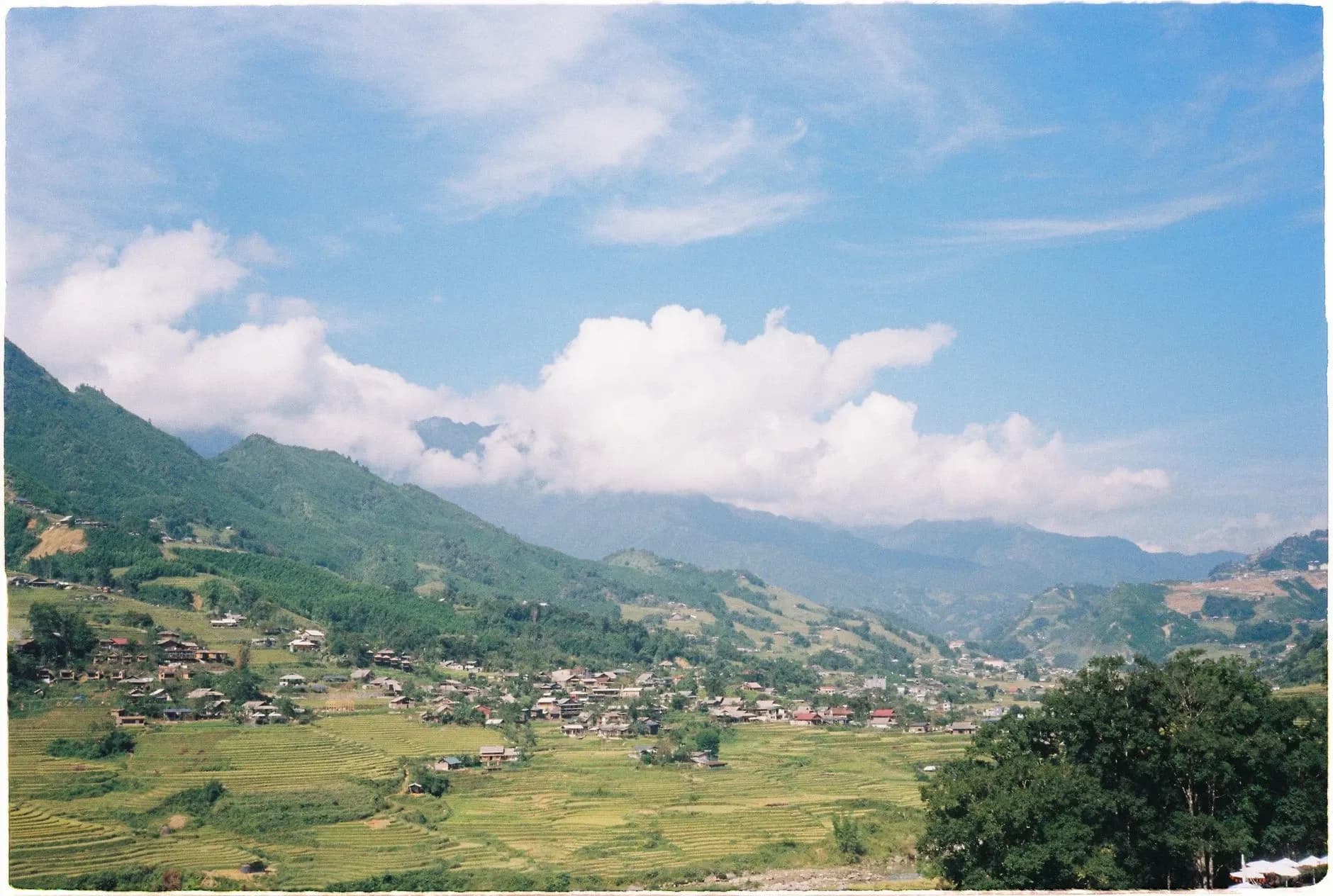 Sapa