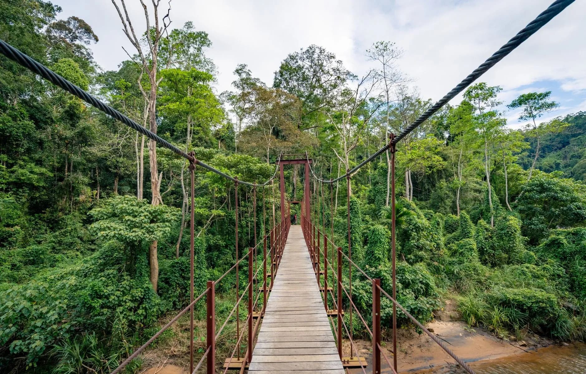Ulu Temburong National Park